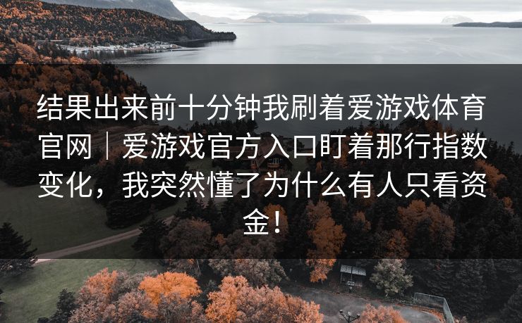结果出来前十分钟我刷着爱游戏体育官网｜爱游戏官方入口盯着那行指数变化，我突然懂了为什么有人只看资金！