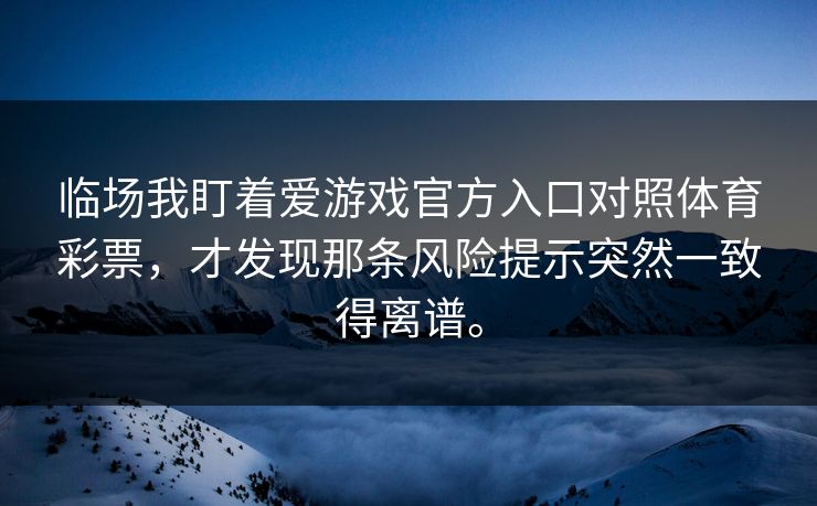 临场我盯着爱游戏官方入口对照体育彩票，才发现那条风险提示突然一致得离谱。