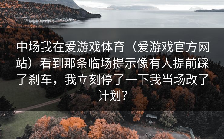中场我在爱游戏体育（爱游戏官方网站）看到那条临场提示像有人提前踩了刹车，我立刻停了一下我当场改了计划？