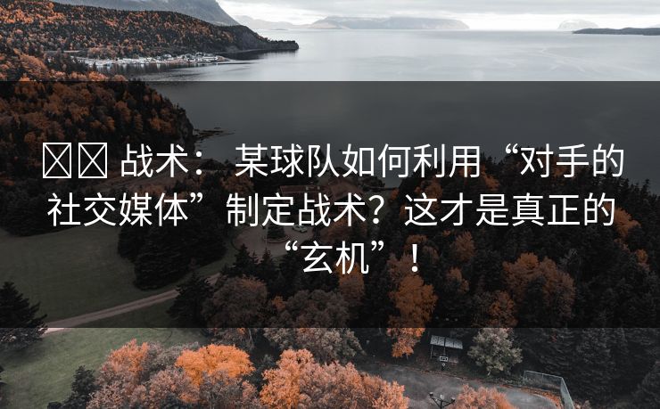 ⚔️ 战术： 某球队如何利用“对手的社交媒体”制定战术？这才是真正的“玄机”！