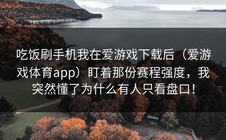 吃饭刷手机我在爱游戏下载后（爱游戏体育app）盯着那份赛程强度，我突然懂了为什么有人只看盘口！
